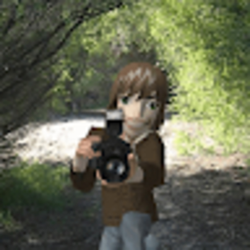 Meet your Posher, Tim